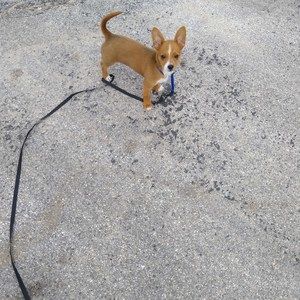 Meet your Posher, Lloyd